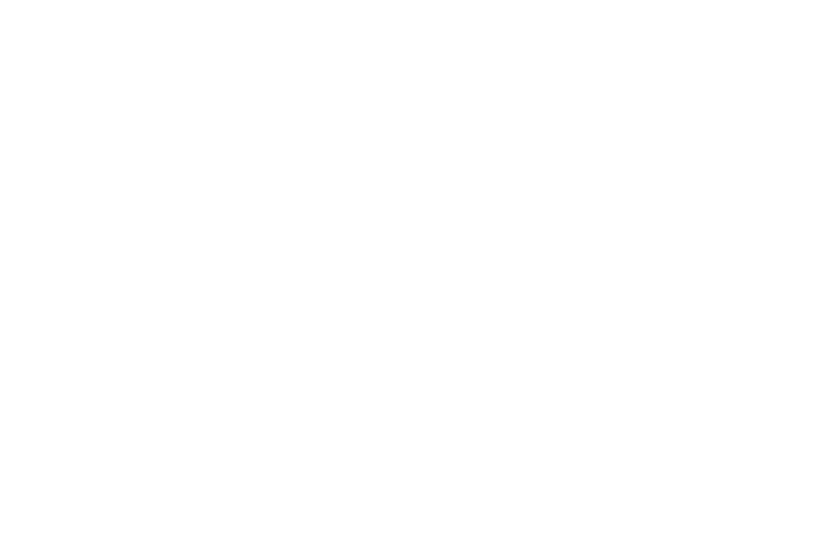 logo light